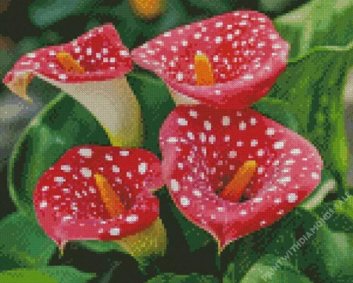 Red Dotted Calla Lilies Diamond Painting