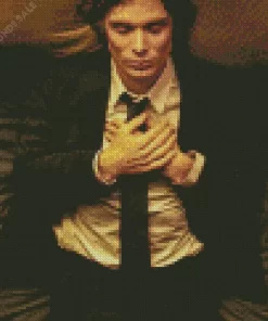 Red Lights Cillian Murphy Diamond Painting