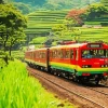 Red Train In Nature Diamond Painting