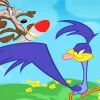 Road Runner Looney Tunes Diamond Painting