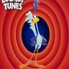 Road Runner Looney Tunes Poster Diamond Painting