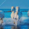 Running White Horses On Water Diamond Painting