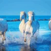 Running White Horses On Water Diamond Painting