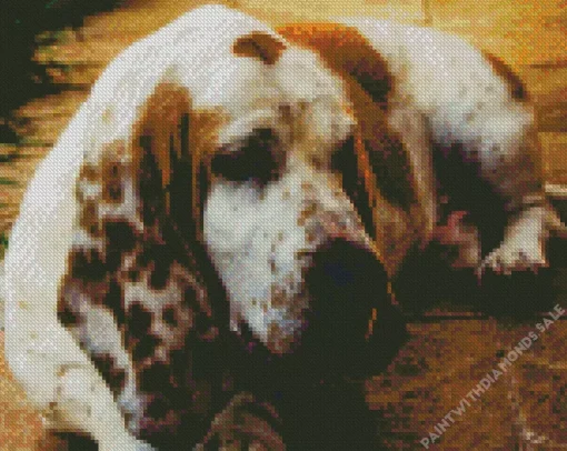 Sad Basset Hound Dog Diamond Painting