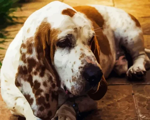 Sad Basset Hound Dog Diamond Painting