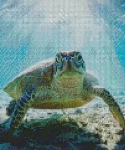 Sea Turtle Underwater Diamond Painting