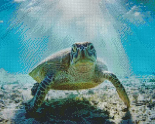 Sea Turtle Underwater Diamond Painting