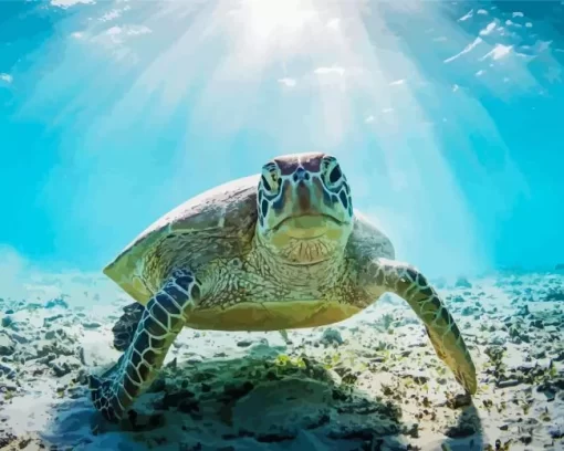 Sea Turtle Underwater Diamond Painting