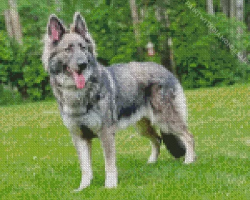 Silver Sable German Shepherd Diamond Painting