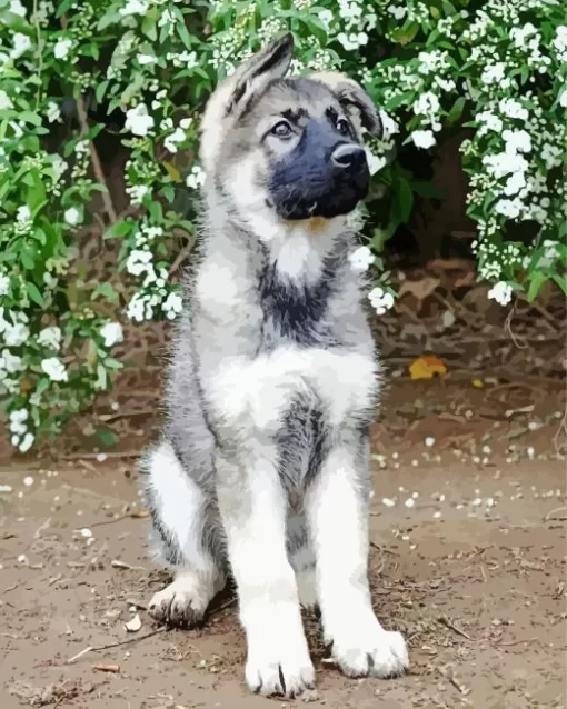 Silver Sable German Shepherd Puppy Diamond Painting