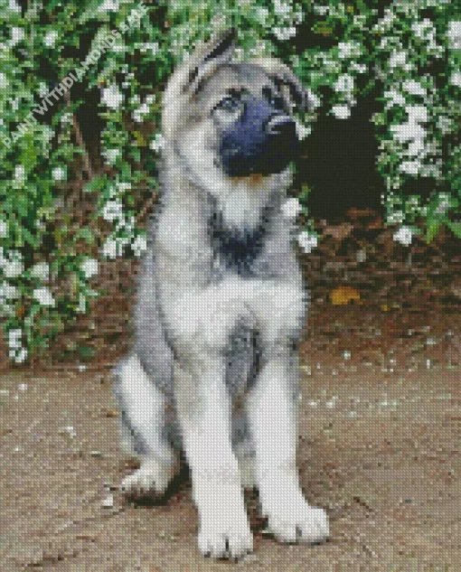 Silver Sable German Shepherd Puppy Diamond Painting