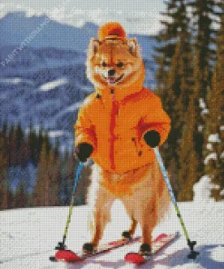 Skiing Pomeranian Diamond Painting