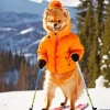 Skiing Pomeranian Diamond Painting