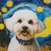 Starry Night Bichon Frise Diamond Painting