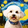 Starry Night Bichon Frise Diamond Painting