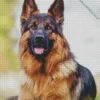 The German Shepherd Animal Diamond Painting