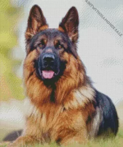 The German Shepherd Animal Diamond Painting