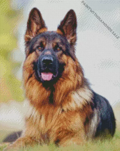 The German Shepherd Animal Diamond Painting