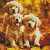 Three Autmn Labrador Puppies Diamond Painting