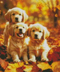 Three Autmn Labrador Puppies Diamond Painting