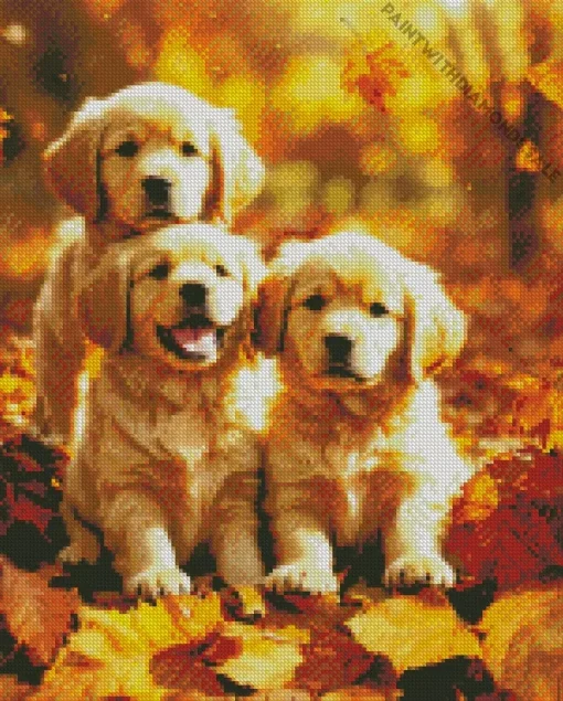 Three Autmn Labrador Puppies Diamond Painting