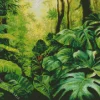 Tropical Monstera Diamond Painting