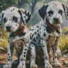 Two Dalmatians Diamond Painting