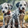 Two Dalmatians Diamond Painting