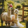 Two Cute Llamas Diamond Painting