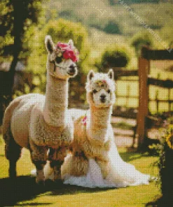 Two Cute Llamas Diamond Painting