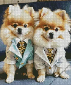 Two Cute Pomeranians Diamond Painting