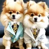 Two Cute Pomeranians Diamond Painting