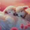 Two Lambs Sleeping Diamond Painting