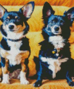 Two Lovely Border Collies Diamond Painting