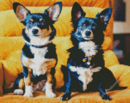 Two Lovely Border Collies Diamond Painting