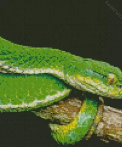 Viper Snake Diamond Painting