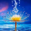 Water Drop And Dandelion Diamond Painting