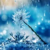 Water Drops And Blue Dandelion Diamond Painting