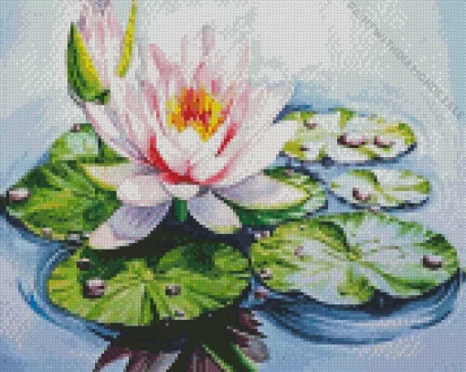 Water Lilies Diamond Painting