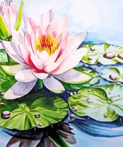 Water Lilies Diamond Painting