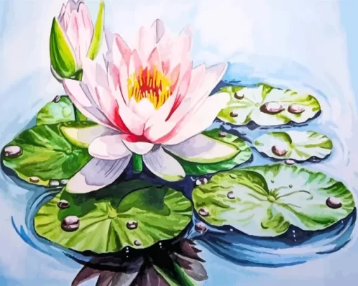 Water Lilies Diamond Painting