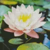 Waterlily And Lotus Diamond Painting