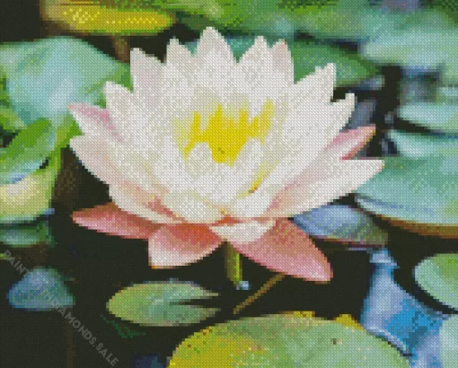 Waterlily And Lotus Diamond Painting