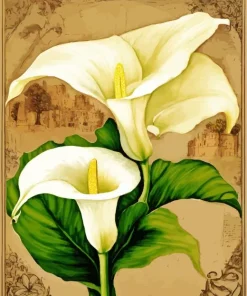 White Calla Lilies Diamond Painting