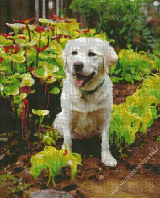 White Labrador Dog Diamond Painting