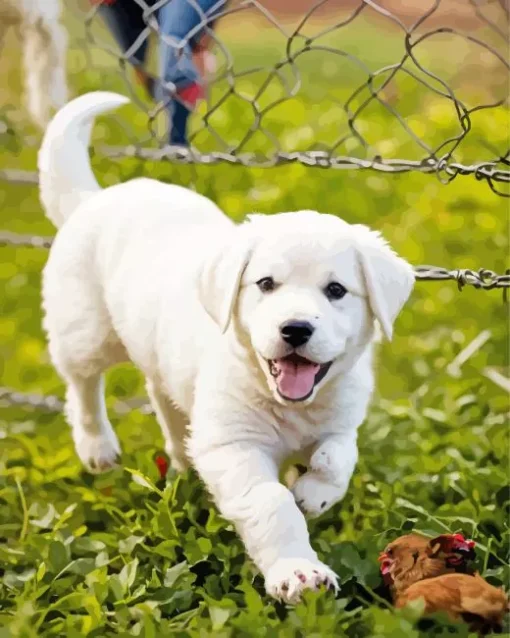 White Labrador Puppy Diamond Painting