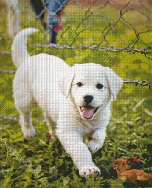 White Labrador Puppy Diamond Painting