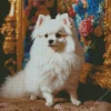 White Cute Pomeranian Diamond Painting