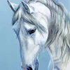 White Horse Diamond Painting