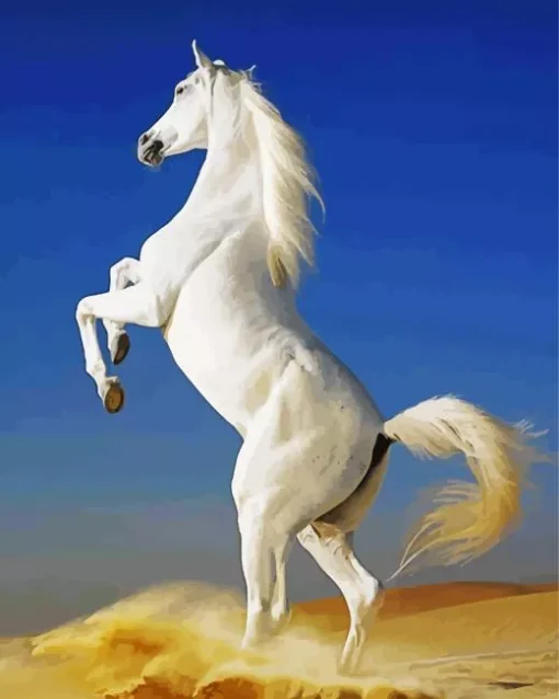 White Horse Galloping Diamond Painting